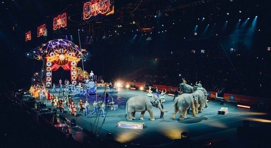 circus-828680_640