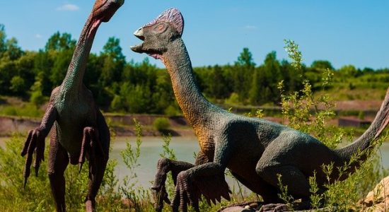 dinosaur-958022_640