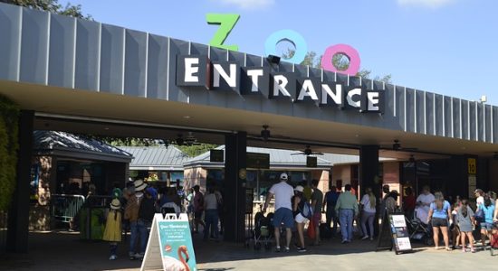 herman-park-zoo-2841246_640