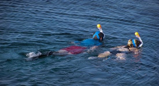 snorkeling-1729819_640